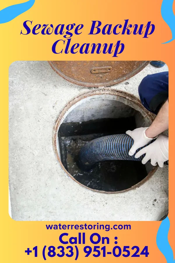Sewage Backup Cleanup in Ingalls, IN
