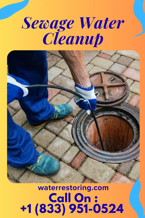 Sewage Water Cleanup in Ingalls, IN